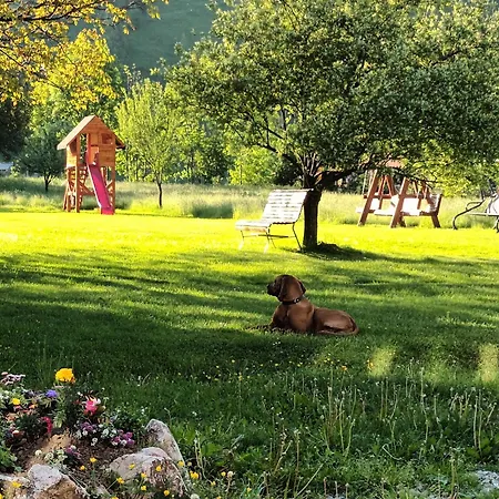 Сasa de vacaciones La Remus Moieciu de Jos
